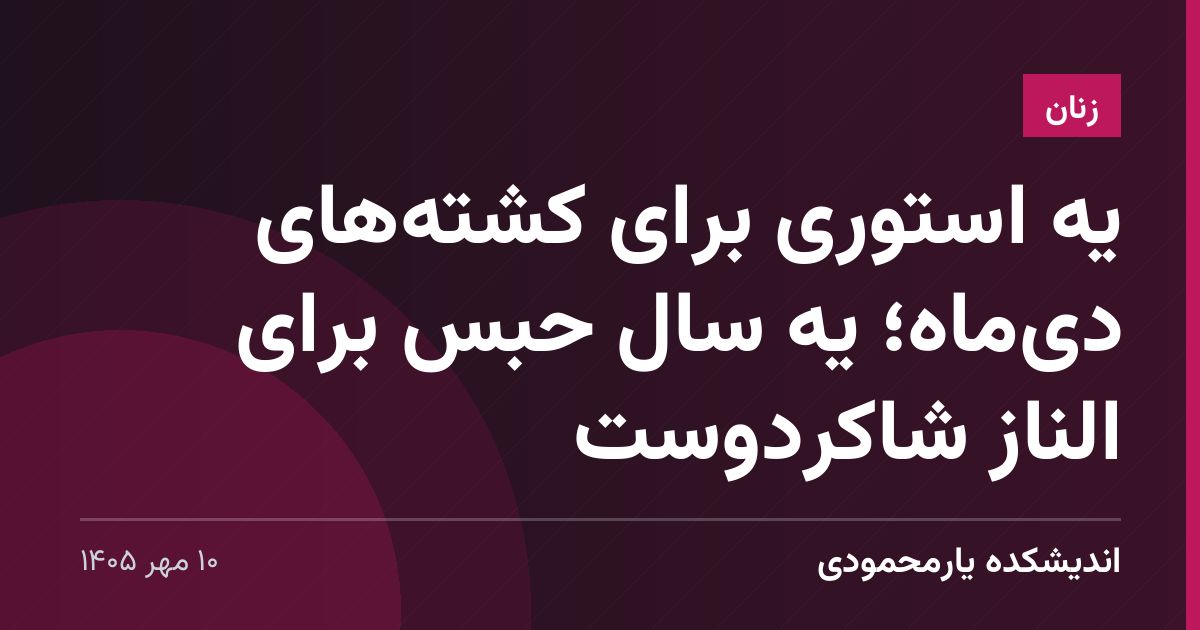 یه استوری برای کشته‌های دی‌ماه؛ یه سال حبس برای الناز شاکردوست